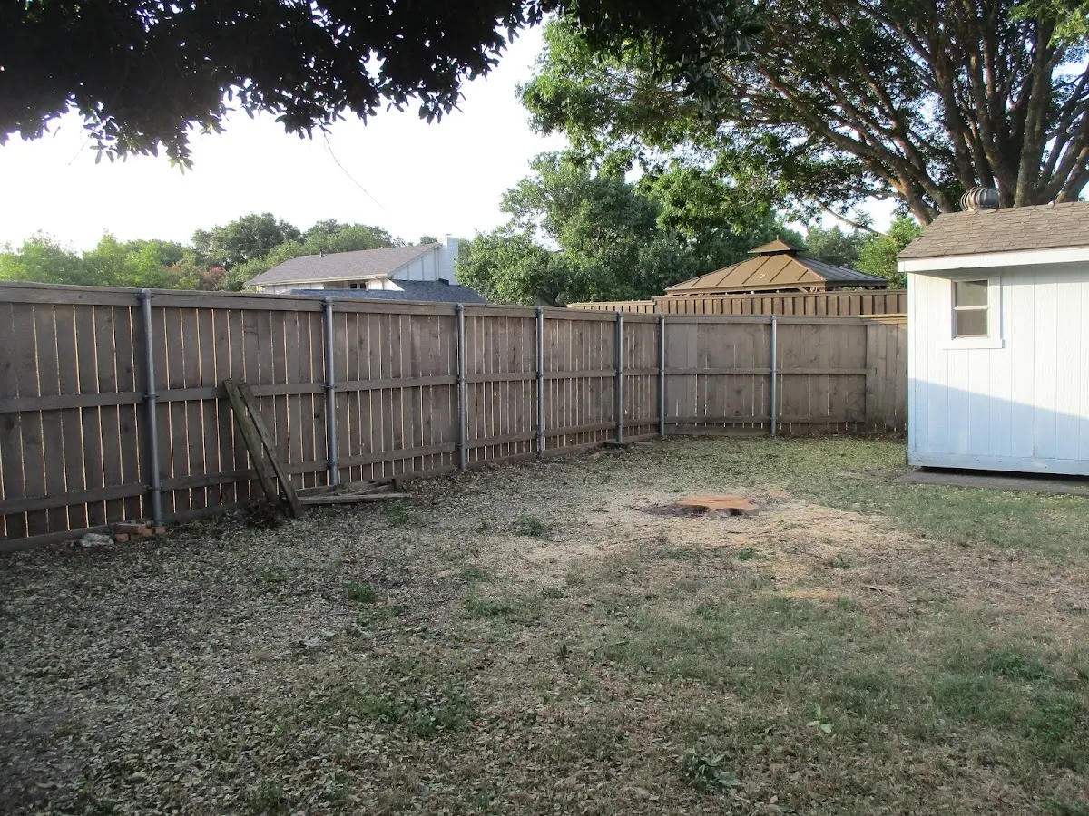 Cleared yard after professional tree removal in Paradise Valley